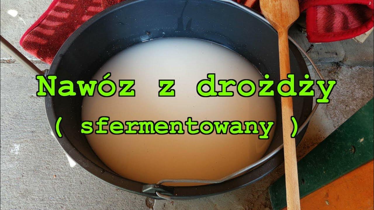 Sfermentowany Napój Z Mleka Klaczy - Nawóz z drożdży ( sfermentowany ). - YouTube