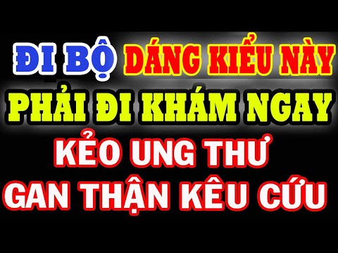 Video: 7 giống chó khác thường bạn sẽ thấy tại Triển lãm chó Westminster 2016