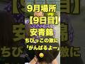 ９月場所９日目、安青錦、ちびっこの激に「がんばるよー」#相撲 #相撲協会 #sumo #aonishiki #あおにしき #アオニシキ #安治川部屋 #秋場所 #出待ち #大関 #安青錦新大