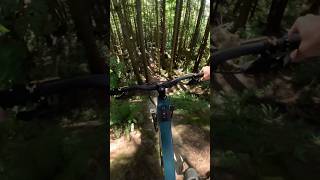 All new GoPro MAX2 or Hero12 w/ max lens2.0? #mtb #shorts #mtblife #youtubeshorts #gopro #freeride