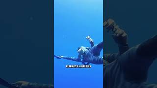 session plongée de ma femme ! #mer #animaux #nature #ocean