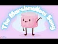 The Marshmallow Song Kids Songs 