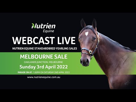 Nutrien Equine 2022 Live Yearling Parade From Oacklands Junction