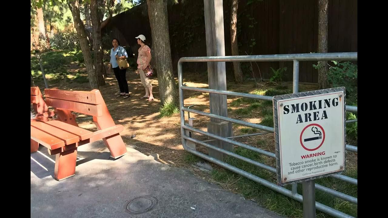 Disneyland and California Adventure for Smokers YouTube