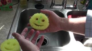 Scrub Daddy honest review