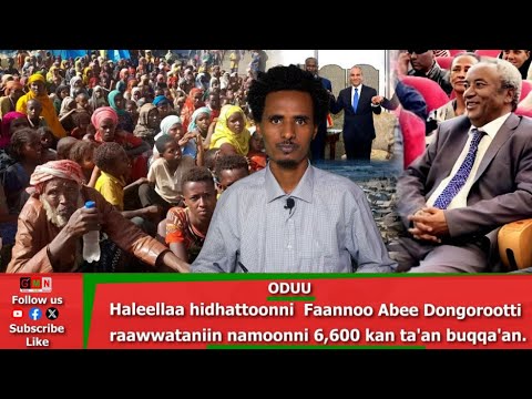 GMN Oduu Fulbaana 6 2025