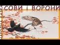 Сови і Ворони. Народна казка. Аудіоказка. Слухать онлайн.