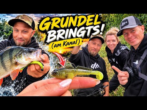 Fishing with Goby for Zander, Volga Zander, and Perch! OSA on Predator Fish Mission