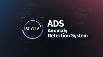 Scylla Anomaly Detection Solution for Retail