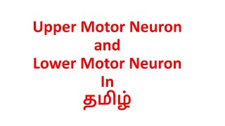 Upper Motor Neuron and Lower Motor Neuron in Tamil