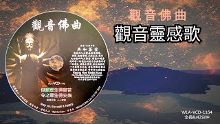 【觀音佛曲の觀音靈感歌】＃佛歌佛曲篇 ＃ WLA-VCD-1164 #法寶流通 #