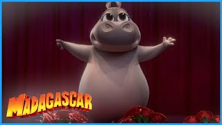 Dreamworks Madagascar Gloria Is A Superstar Dreamworks Madagascar