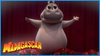 DreamWorks Madagascar | Gloria is a superstar | DreamWorks Madagascar