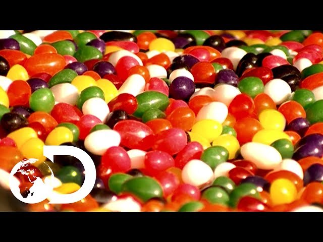 Jelly Beans | How It's Made class=