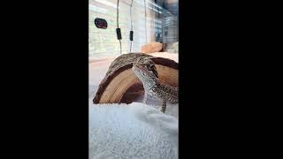 Welcome to Charlie’s Channel 