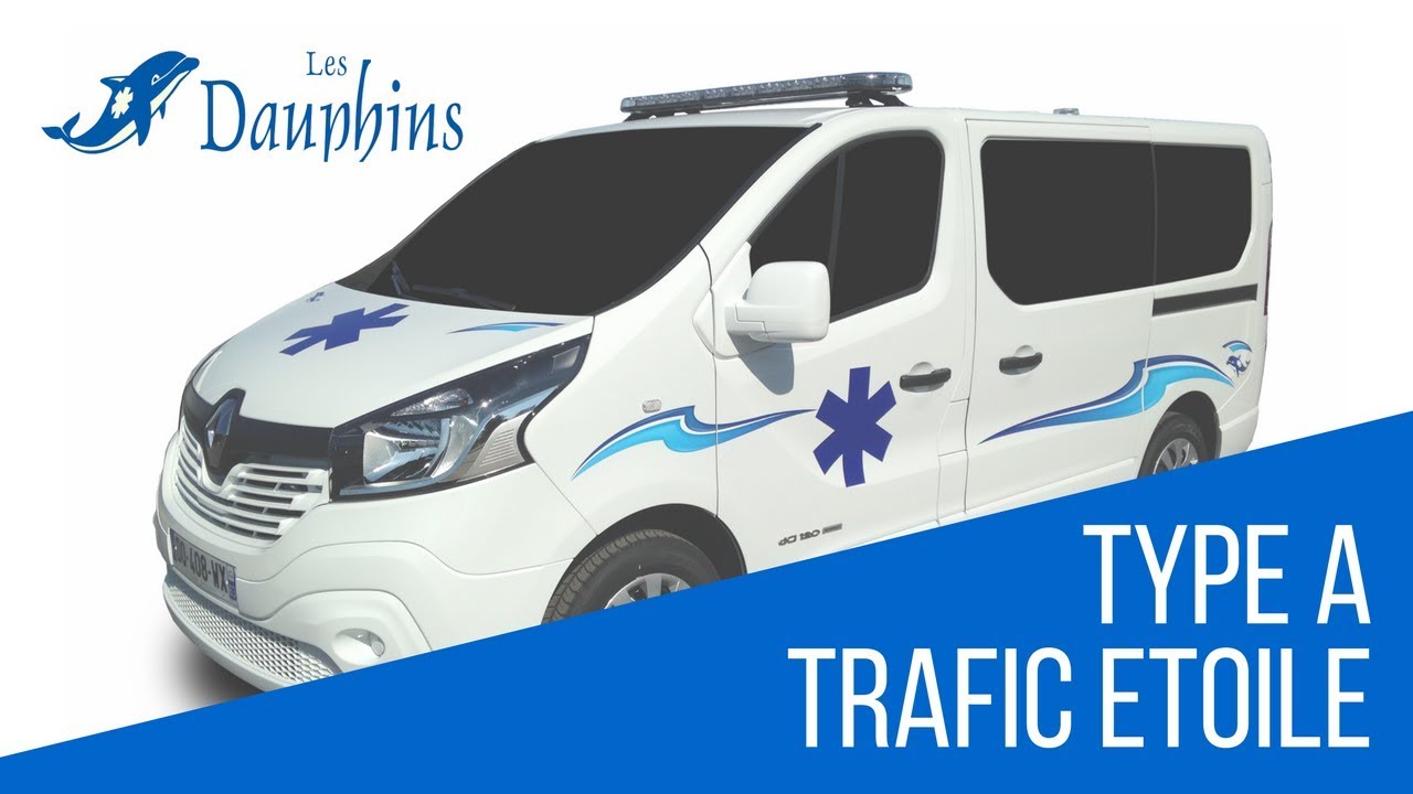 Les Dauphins, Présentation Renault Trafic Type A1
