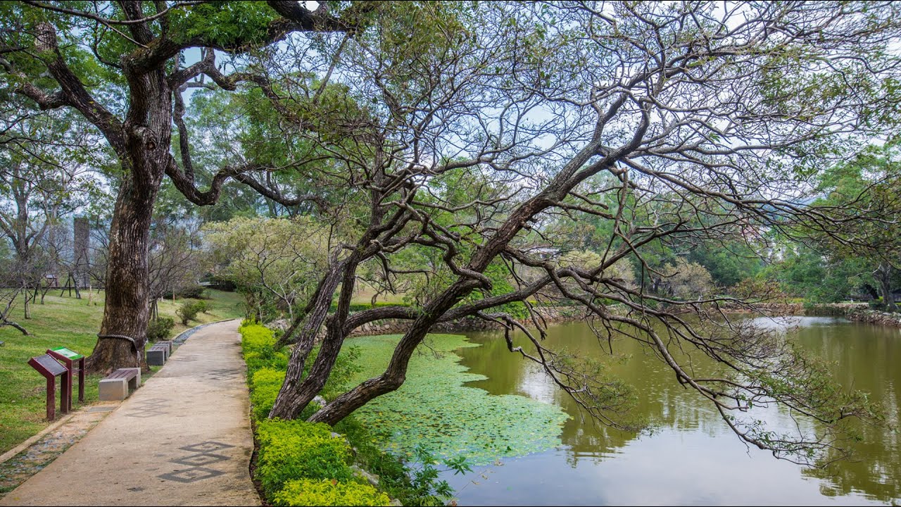 Jiaobanshan Park 360 Video