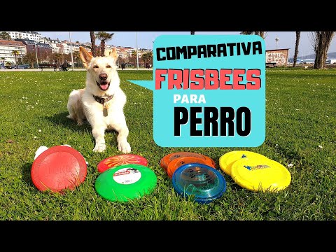 Vídeo: El kong frisbee flota?