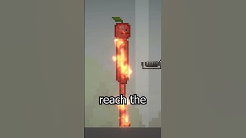 Things Everyone Does in Melon Playground