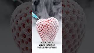 Frozen Strawberry Smash: Liquid Nitrogen Experiment 液体窒素でイチゴを瞬間冷凍！叩くとどうなる？ #viral #shorts
