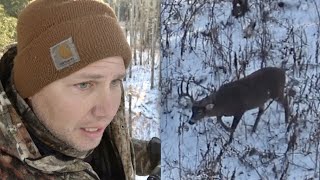 картинка: 2022 Big Alberta Bush Buck DOWN - 