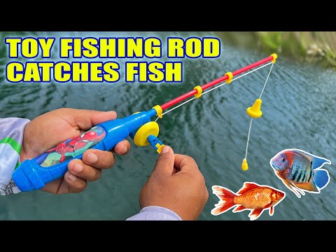 Toy Fishing Rod Catches Fish