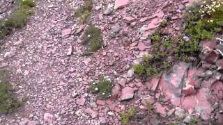 Glacier National Park 2.mov (two medicine pass)