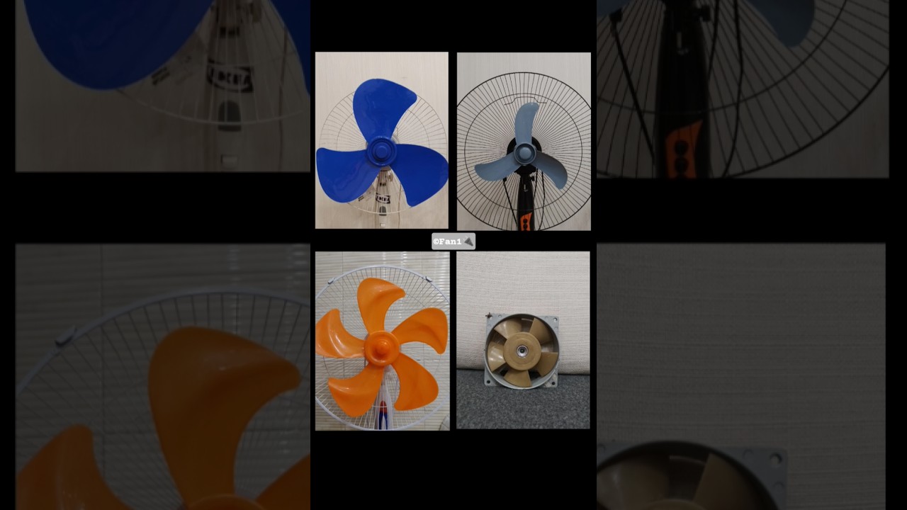 4 Fans - Edit Performance 📸 