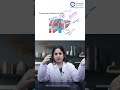 Functional Divisions of liver by Dr. Jhanvi Bajaj  | Anesthesia Residency #shorts