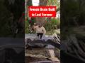Why A Contractor Working Out Of A Van Can NOT Build A Good French Drain Homeowners Must Know This Why A Contractor Working Out Of A Van Can NOT Build A Good French Drain Homeowners Must Know This