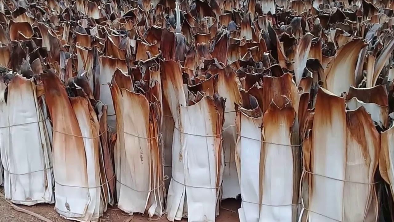 Areca leafs Supliers Tamilnadu