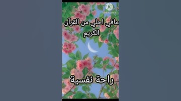 ما في اجمل من صوت القران الكريم ارح سمعك #قران_كريم #قران #تلاوه_خاشعه #راحه_نفسيه
