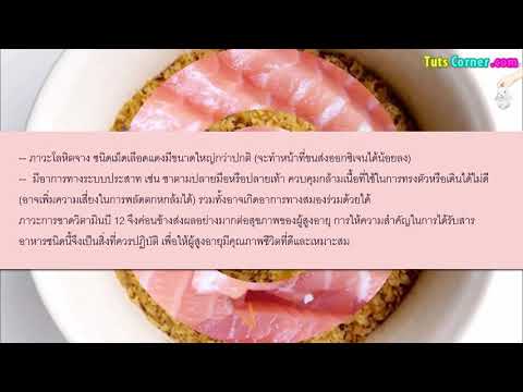 b12 วิตามิน b12 คืออะไร มีความสำคัญอย่างไรกับผู้สูงอายุ