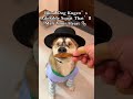 Watch Kugen, the sweetest blind dog, casually squat down in the cutest way!   This heartwarming