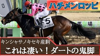 【注目勝ち馬】ダート鬼脚の新星誕生⁉「ハチメンロッピ」12番手から一気の差し切り