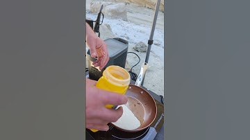 Backcountry Cooking with the Ecoflow Delta 1300 - Induction