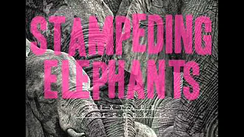 Annie Mulz & Moe Pope - Fancy Pants (Produced by B...