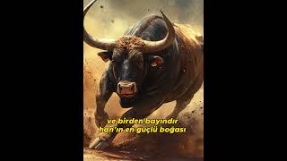 Dirse Han Oğlu Boğaç Han Destanı