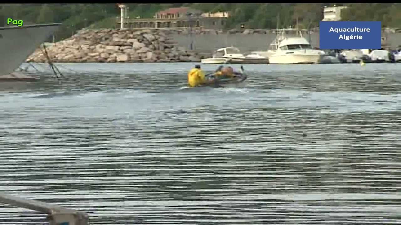 موانئ الصيد البحري في ولايـــــــة سكيكدة