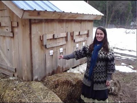 winter chicken coop / shelters - YouTube