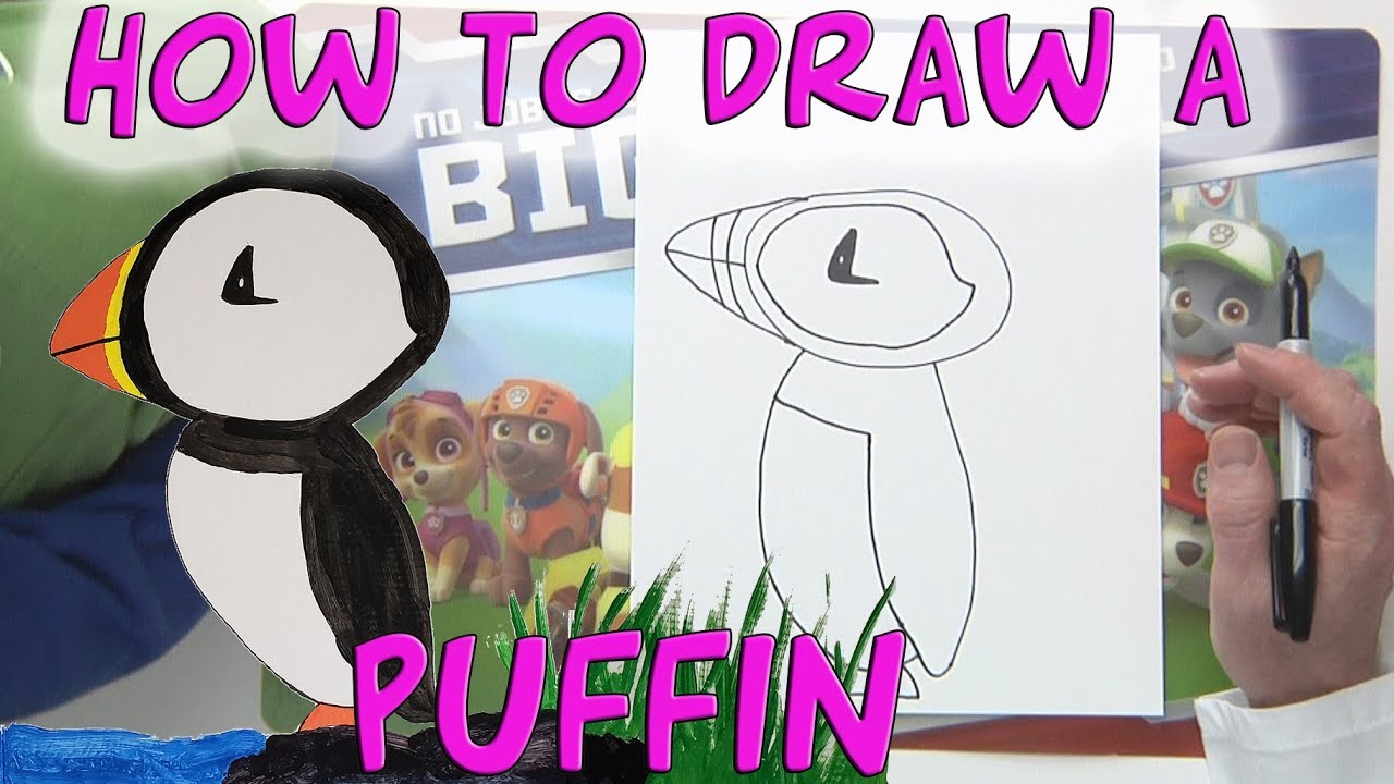 Featured image of post How To Draw A Cartoon Puffin Then draw the feet by following the path of the guide