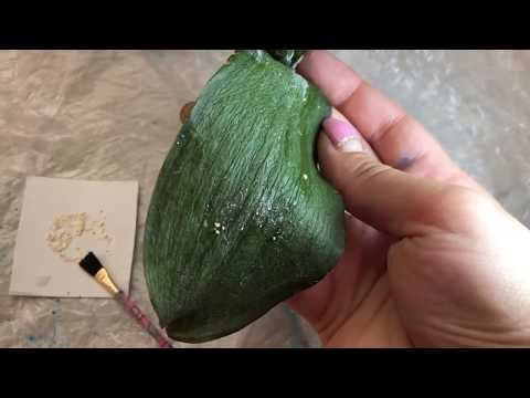 ფუზარიოზი. მკურნალობა (ნაწილი #2)