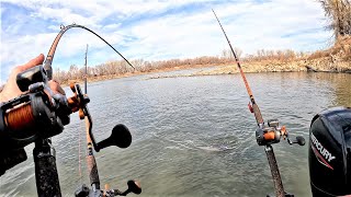 Wing Dams Hold BIG FISH!! (Fishing a MASSIVE RIVER)