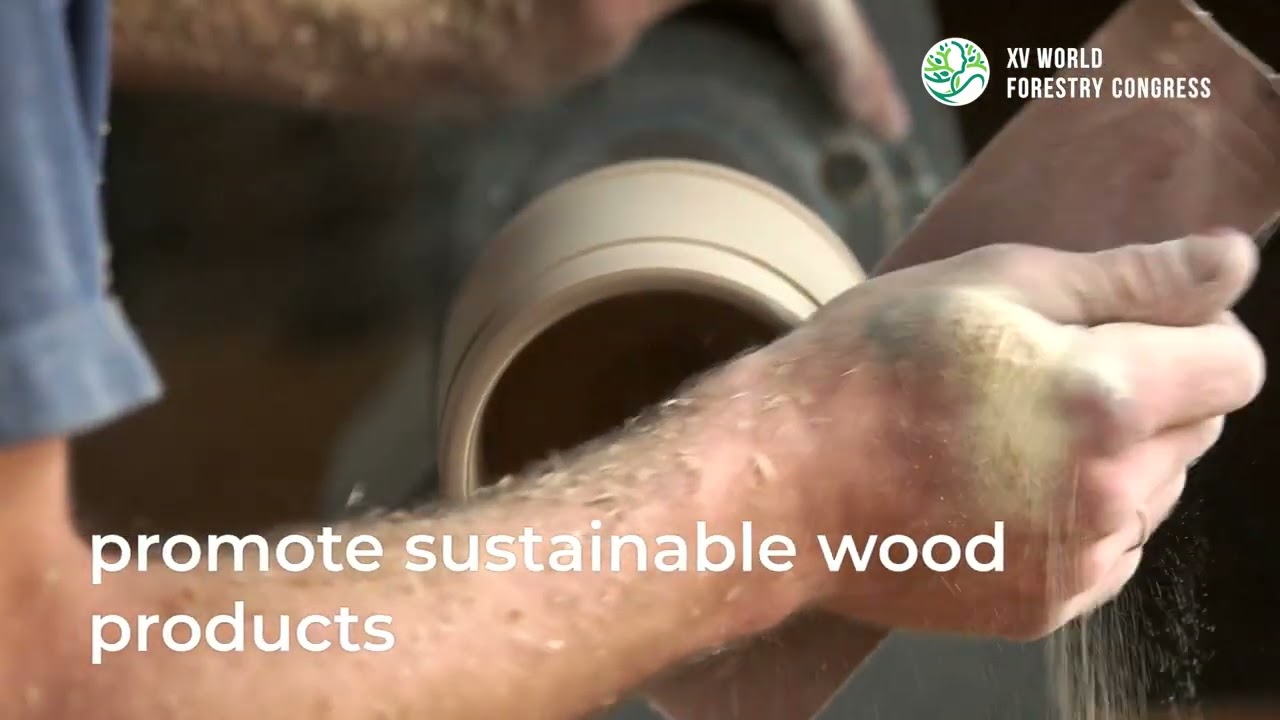 Final wrap: XV World Forestry Congress 2-6 May 2022