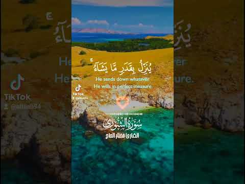 التائب ولو بسط الله الرزق لعباده لبغوا في الأرض حالات واتس اب دينية 