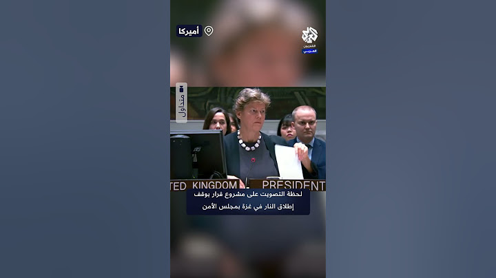 واشنطن تستخدم الفيتو.. لحظة التصويت على مشروع قرار بوقف إطلاق النار في غزة بمجلس الأمن