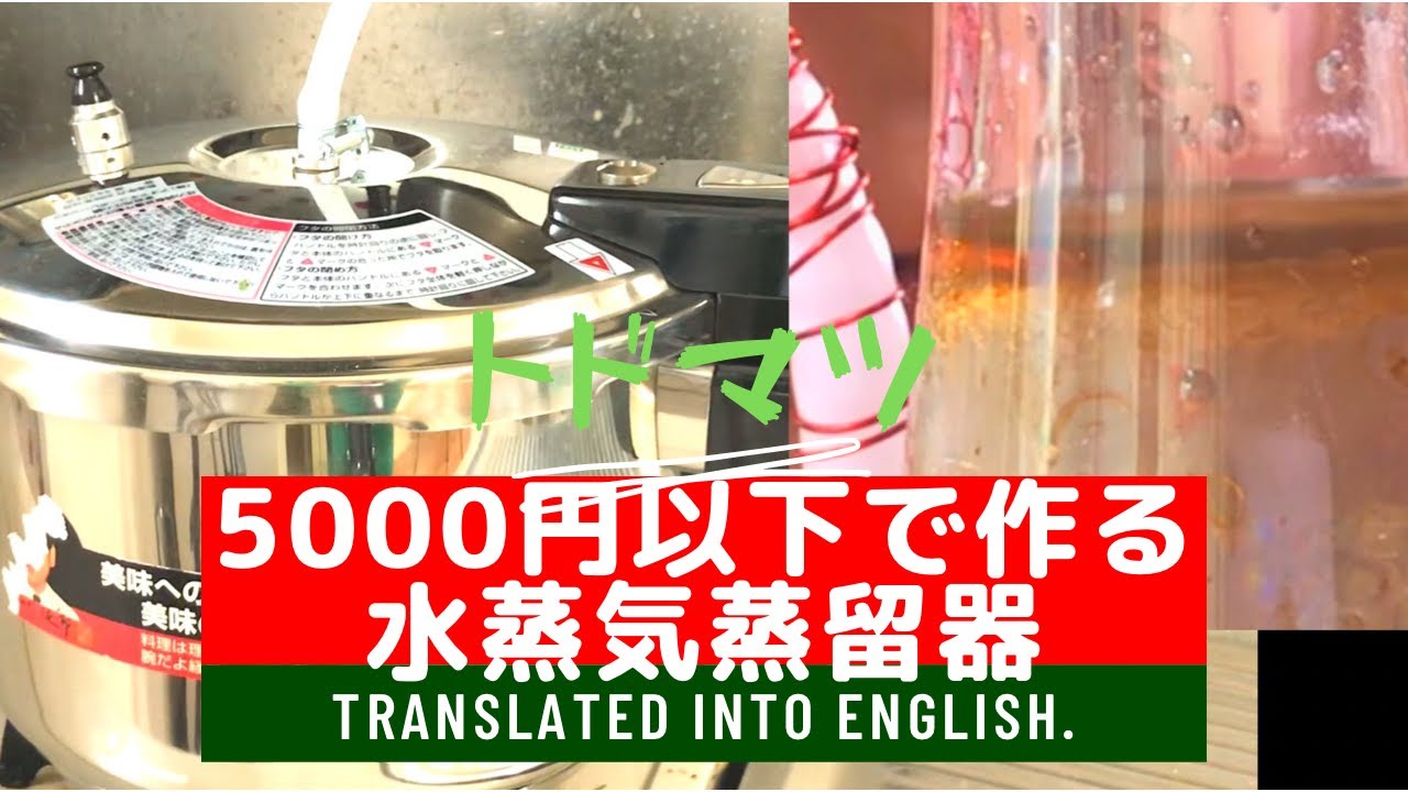 市販の蒸留器買うな よく精油が採れる水蒸気蒸留器の作り方 圧力鍋でトドマツ精油 Youtube