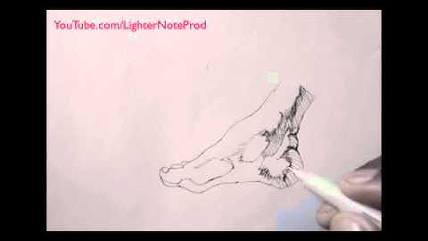 Demo: Drawing a Realistic Foot with Pen & Ink  (Pose I)