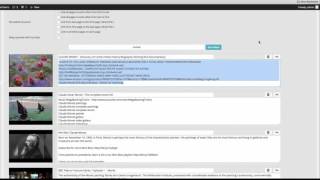 Video Curation - Add Dozens Niche Focused Youtube Videos to Your Site