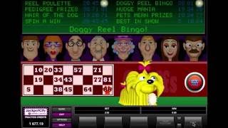 DOGGY REEL BINGO +BONUS GAME! +BIG WIN! online free slot SLOTSCOCKTAIL microgaming screenshot 5